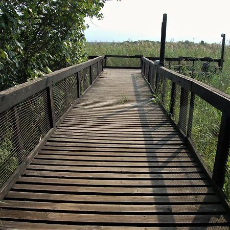 28 And 29 The Bridge Apartamento Saint Lucia Estuary Exterior foto